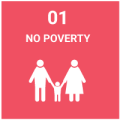 sdg1