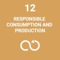 sdg12